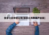 张家口区块链公司[张家口大数据产业园]